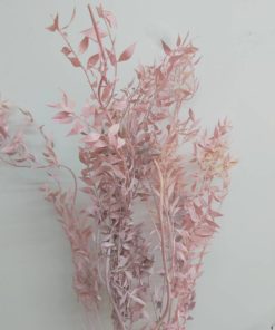 פרחים מיובשים - רוסקוס ורוד
